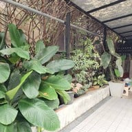 nimby coffeehouse Hadyai