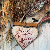 Pink Typhoon Creative Pasta & Steak Ari