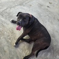 ร้านบ้านบุญ