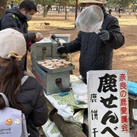 บรรยากาศ Nara Park