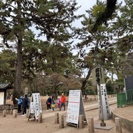 บรรยากาศ Nara Park