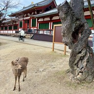 บรรยากาศ Nara Park