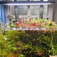 Waylawang Coffee Baked Craft District รามอินทรา-จตุโชติ