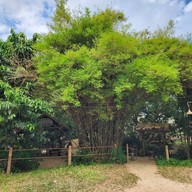 Foresto Cafe' หาดใหญ่