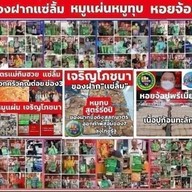 ลิ้มเจริญพาณิชย์林查龙派尼สลกบาตร