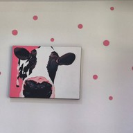 Two Scoops Gelato and Desserts