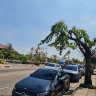 หน้าร้าน เจ๊อ้วนเย็นตาโฟ เจ๊อ้วนเย็นตาโฟ