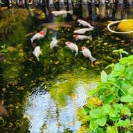 Harudot By Nana Coffee roasters บริษัท จันทร์ระกาประธาน จำกัด