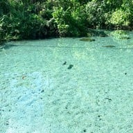 ป่าต้นน้ำบ้านน้ำราด