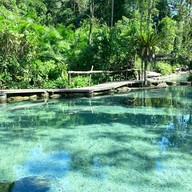 ป่าต้นน้ำบ้านน้ำราด