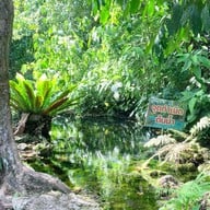 ป่าต้นน้ำบ้านน้ำราด