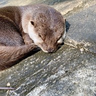 ป่าต้นน้ำบ้านน้ำราด