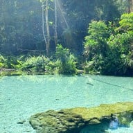 ป่าต้นน้ำบ้านน้ำราด