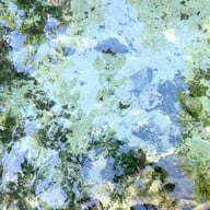 ป่าต้นน้ำบ้านน้ำราด