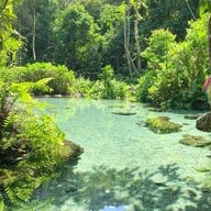 ป่าต้นน้ำบ้านน้ำราด