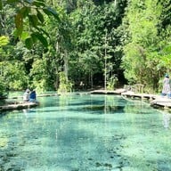 ป่าต้นน้ำบ้านน้ำราด