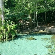 ป่าต้นน้ำบ้านน้ำราด