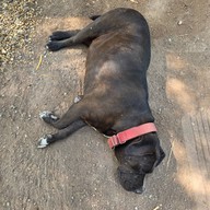 ร้านบ้านบุญ