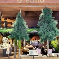 Divana Signature Cafe emsphere