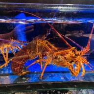 Tao Heung Restaurant Tsim Sha Tsui