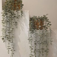 Hymn Coffee Passion  -