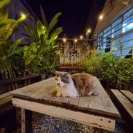 ร็อคโค่คาเฟ่