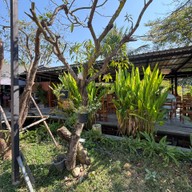 ครัวเนื้อหอม แชมป์กะเพราเนื้อประเทศไทย