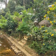 ร้านชาวเหมือง เค้กปิล็อก