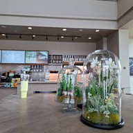 Starbucks บ้านใหญ่ วังน้อย