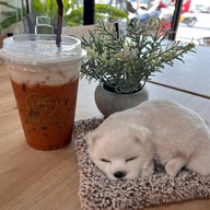 Werewolf Cafe : แวร์วูล์ฟ คาเฟ่ ขอนแก่น