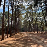 สวนสนบ่อแก้ว