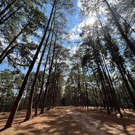 สวนสนบ่อแก้ว