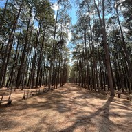 สวนสนบ่อแก้ว