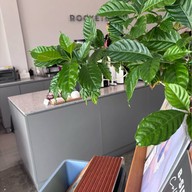 ROCKETEER PTT Srinakarin-Romklao