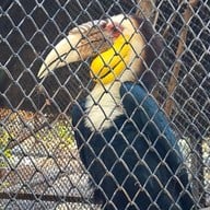 สวนนกชัยนาท