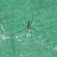 บรรยากาศ สวนจันทิวา