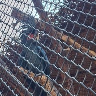 สวนนกชัยนาท