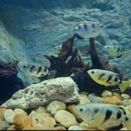 สวนนกชัยนาท