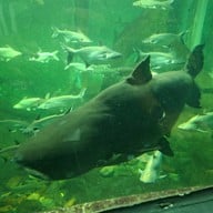 สวนนกชัยนาท