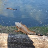 สวนนกชัยนาท