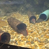 สวนนกชัยนาท