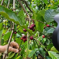 บรรยากาศ สวนจันทิวา