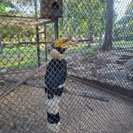 สวนนกชัยนาท