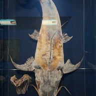 สวนนกชัยนาท