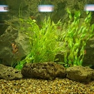 สวนนกชัยนาท