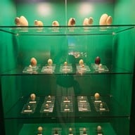 สวนนกชัยนาท