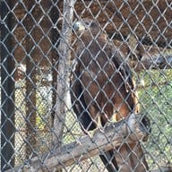 สวนนกชัยนาท