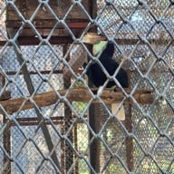 สวนนกชัยนาท