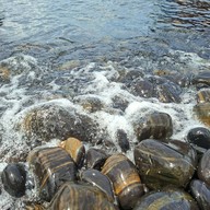 เกาะหินงาม สตูล