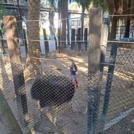 สวนนกชัยนาท